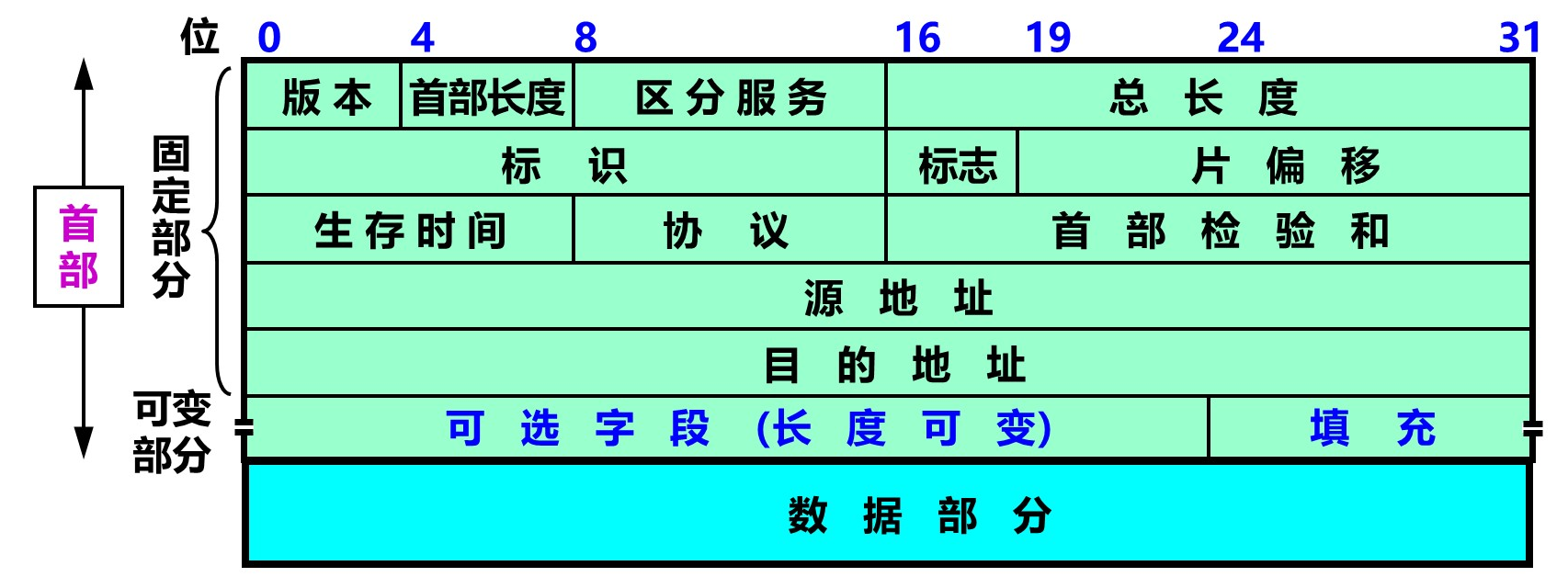 IP数据报格式