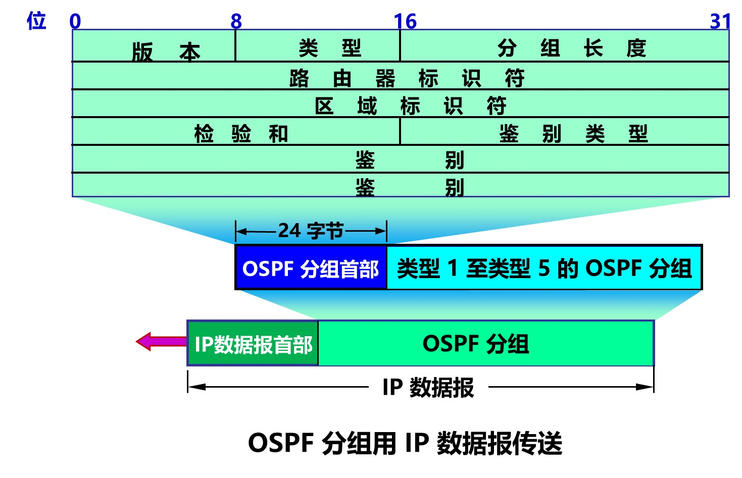 OSPF分组